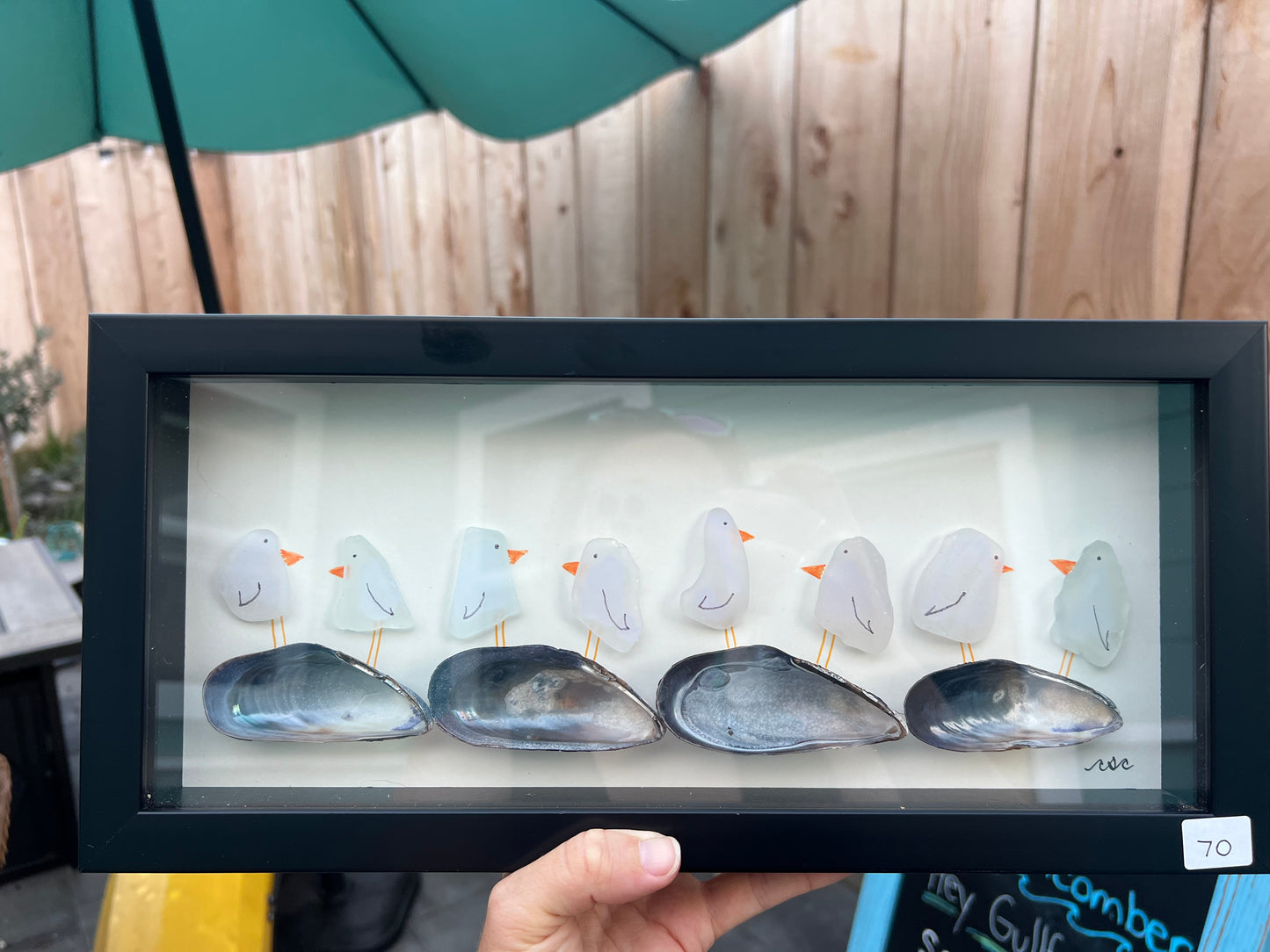 Gullfriends with Mussels